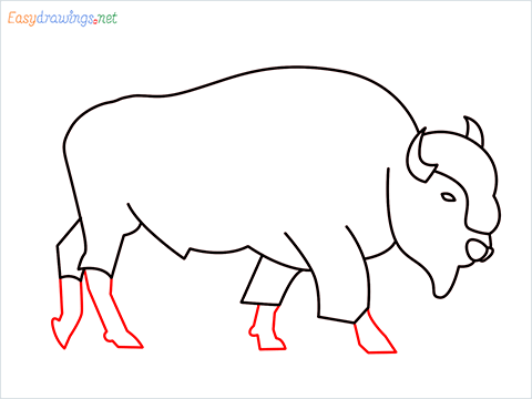 how to draw a bison Step (9)