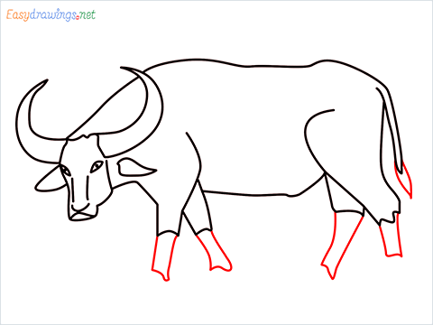 how to draw a buffalo Step (10)
