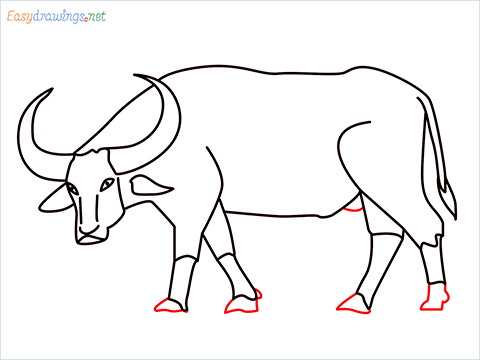 how to draw a buffalo Step (11)