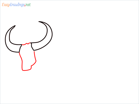how to draw a buffalo Step (3)