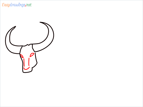 how to draw a buffalo Step (4)