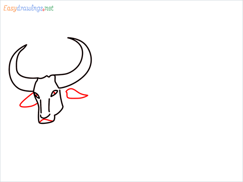 how to draw a buffalo Step (5)