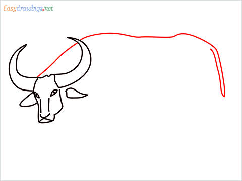 how to draw a buffalo Step (6)