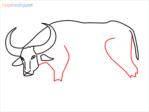 how to draw a buffalo Step (7)