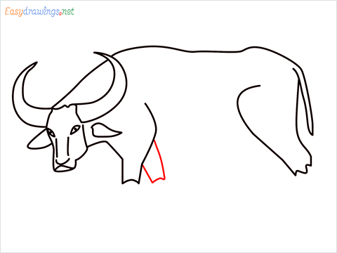 how to draw a buffalo Step (8)