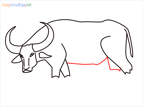how to draw a buffalo Step (9)