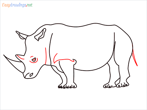 how to draw a rhino Step (8)