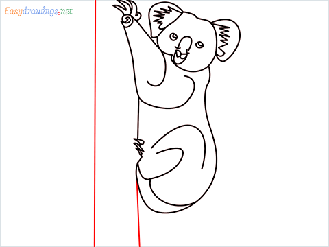 how to draw an Koala Step (10)
