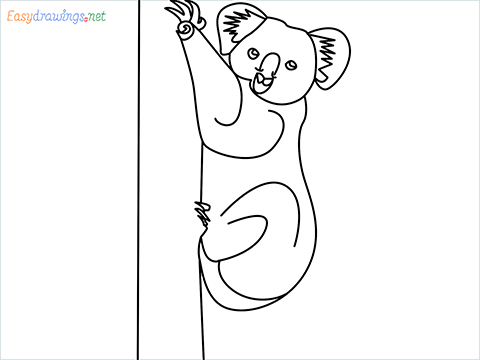 how to draw an Koala Step by Step for Beginners