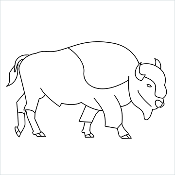 Bison drawing