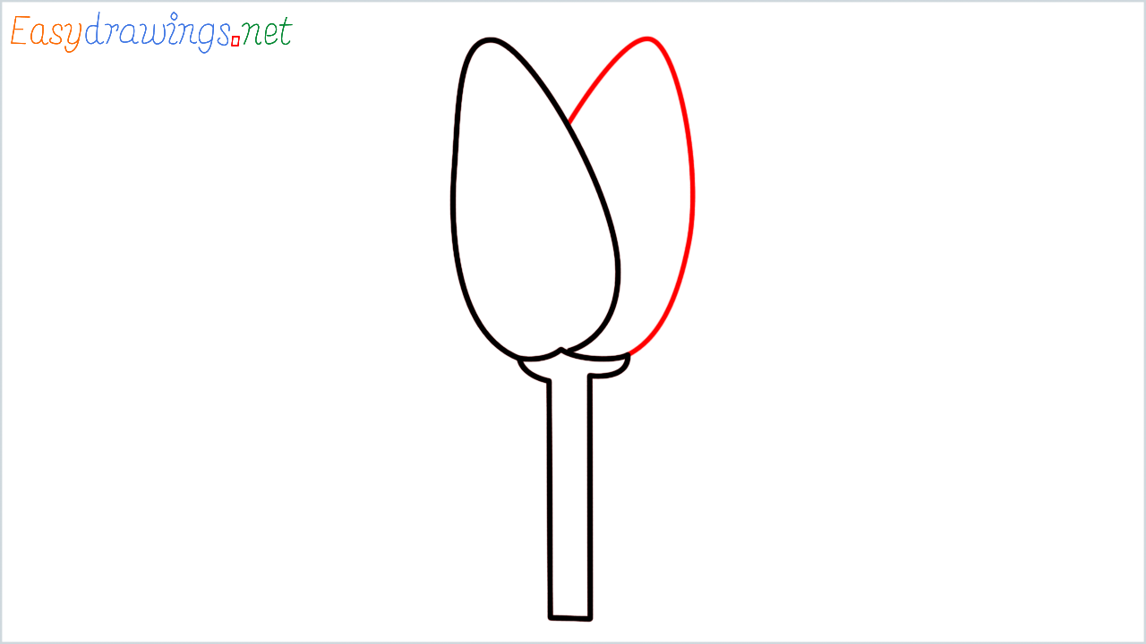How to draw Tulip Emoji step (4)