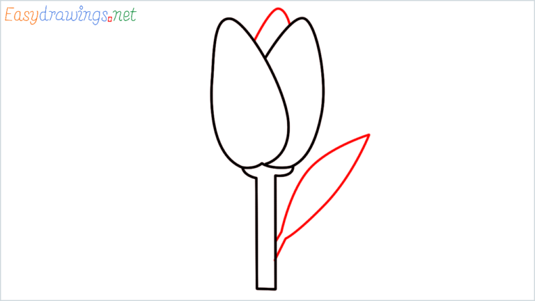 Tulip - How To Draw Tulip Emoji Step by Step - [7 Easy Phase]