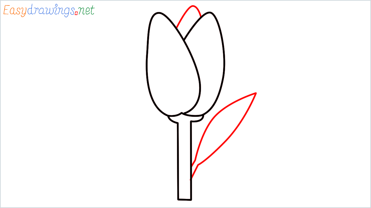 How to draw Tulip Emoji step (5)