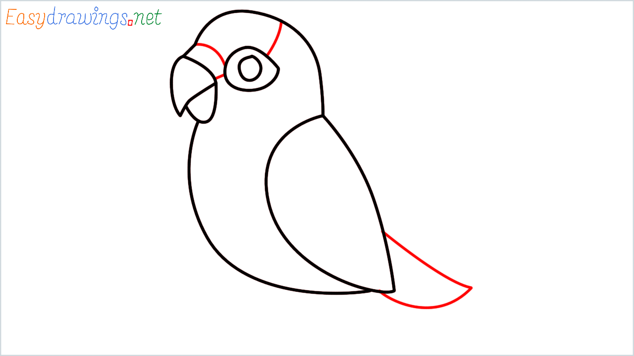 How to draw parrot Emoji step (5)