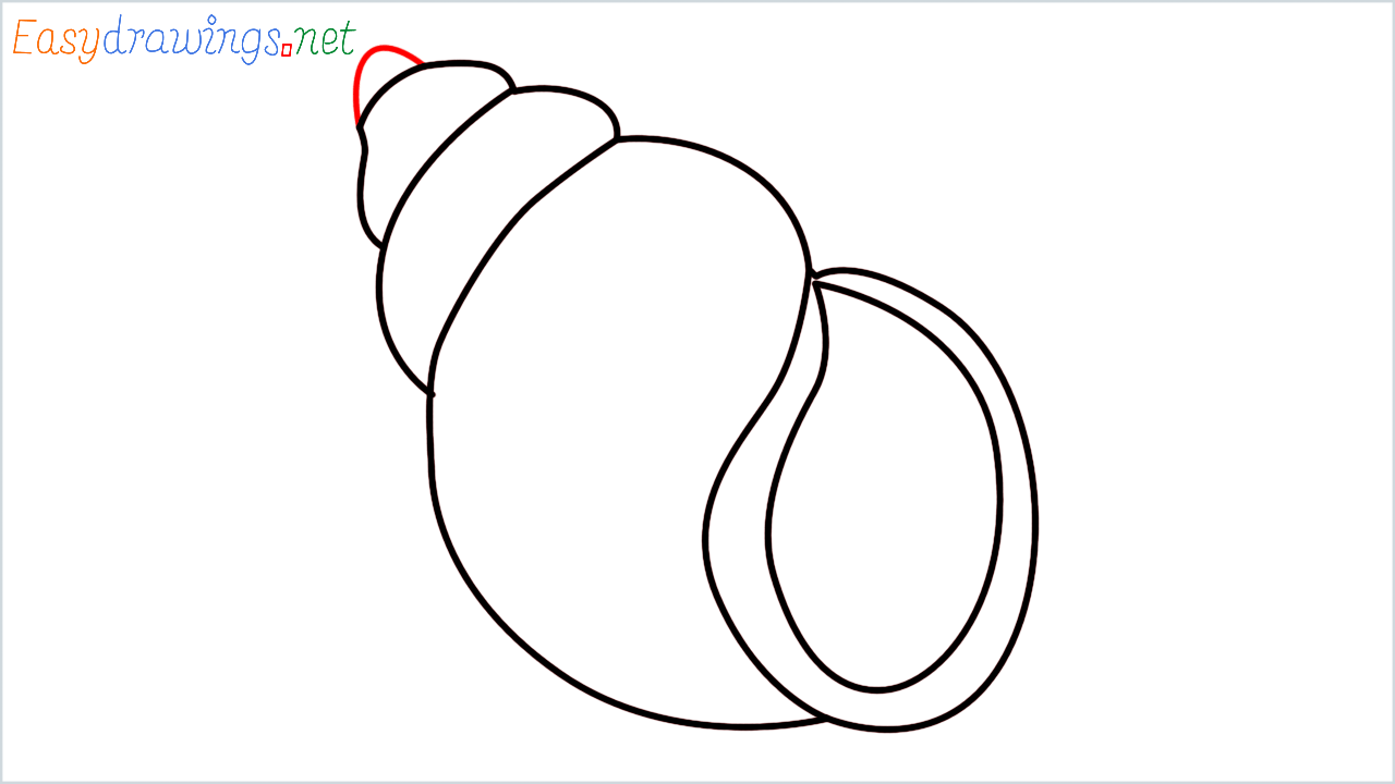 How to draw spiral shell Emoji step (6)