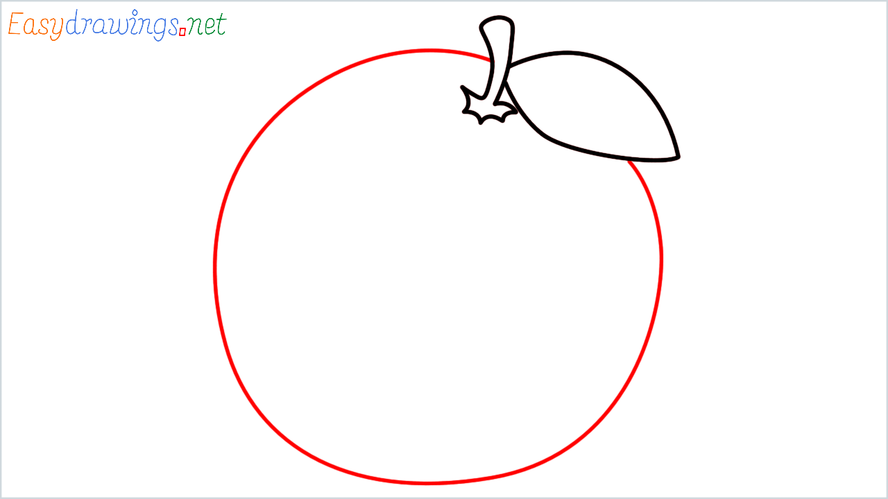 How to draw tangerine Emoji step (4)