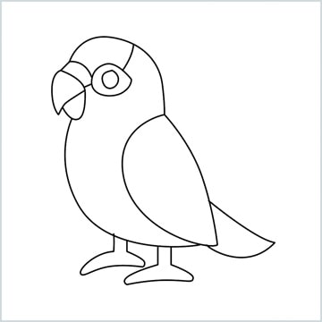draw parrot