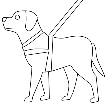 Guide dog drawing