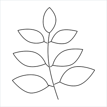 Herb drawing