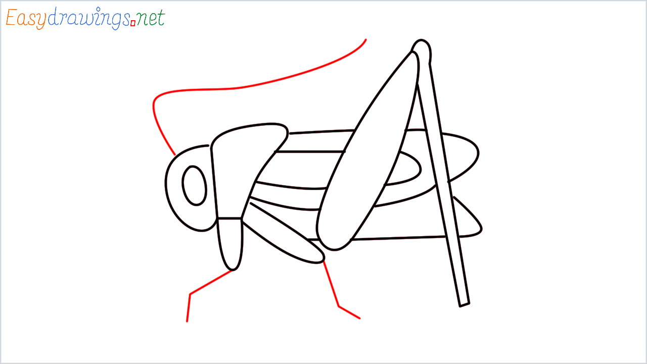 How to draw Cricket Emoji step (8)