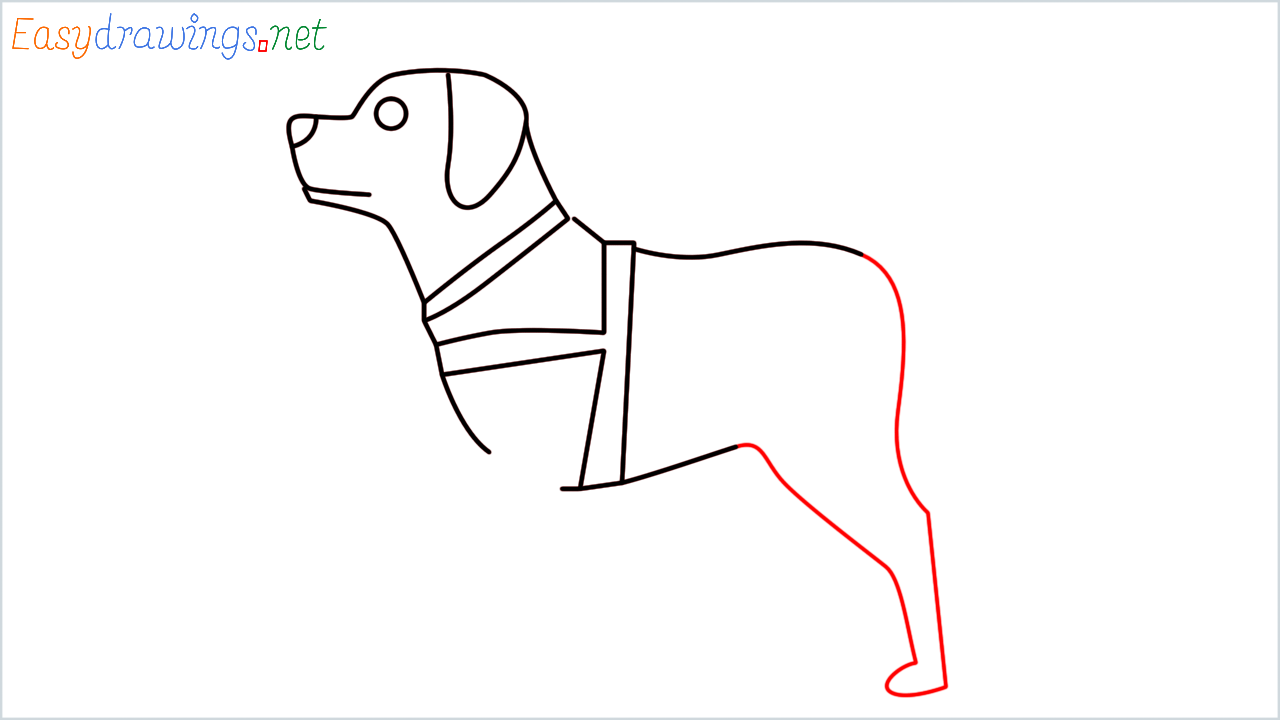 How to draw Guide dog Emoji step (8)