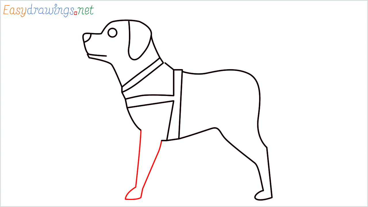 How to draw Guide dog Emoji step (9)