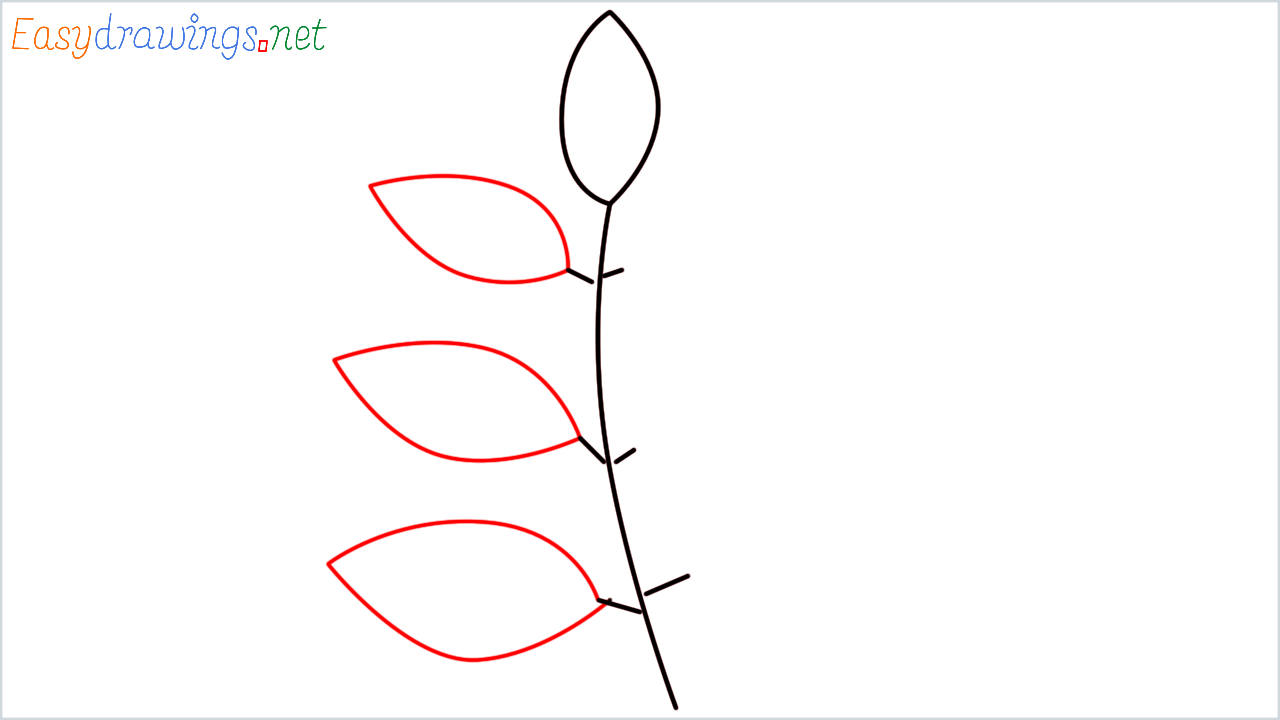 How to draw Herb Emoji step (4)