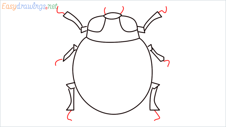 How To Draw Lady Beetle Emoji Step by Step - [10 Easy Phase]