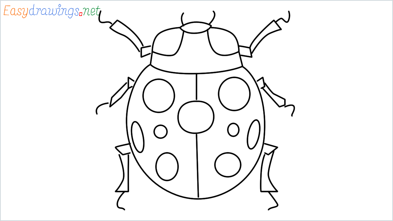How to draw Lady beetle Emoji step by step for beginners