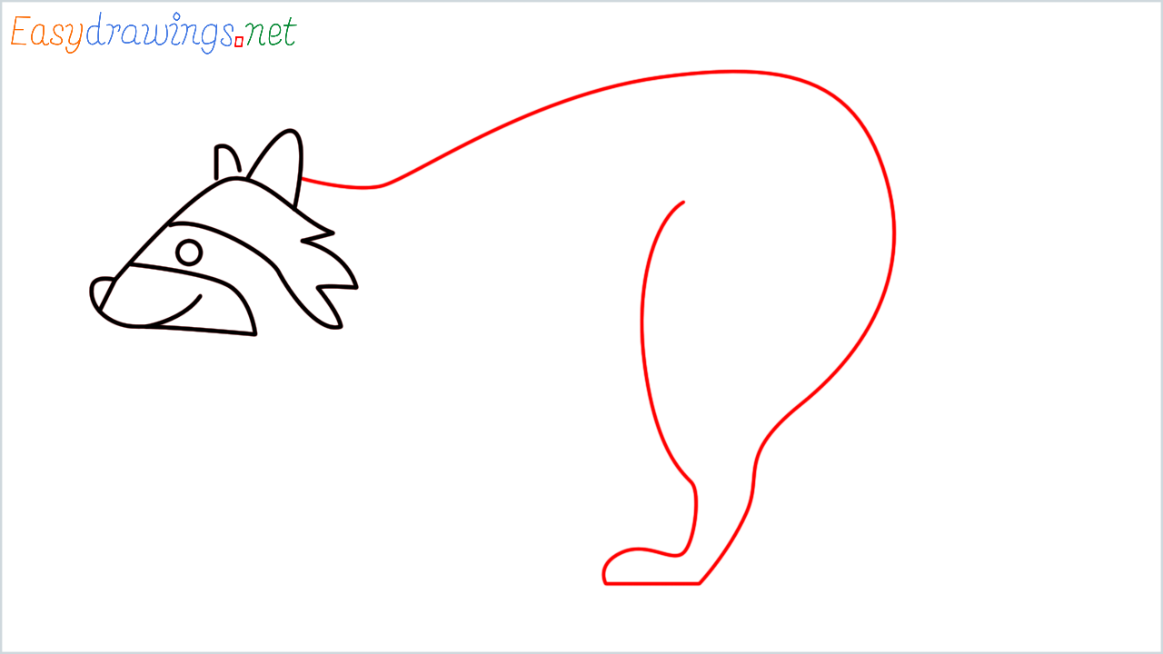 How to draw Raccoon Emoji step (4)
