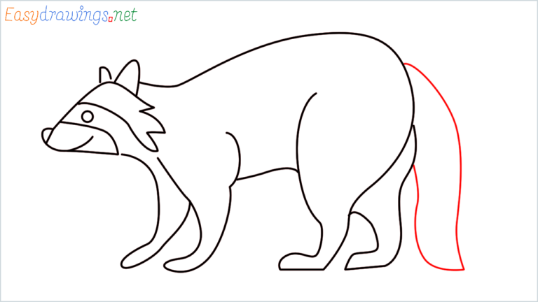 How To Draw Raccoon Emoji Step by Step - [9 Easy Phase]