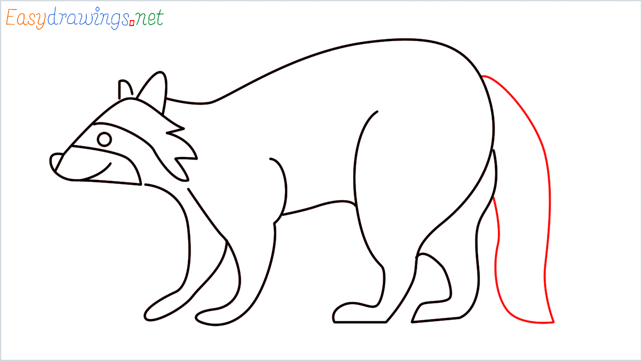 How to draw Raccoon Emoji step (8)