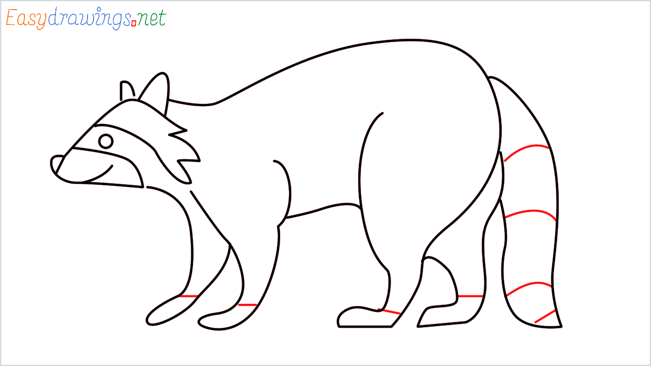 How to draw Raccoon Emoji step (9)