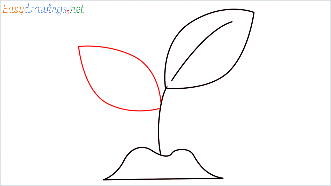 How to draw Seedling Emoji step (6)