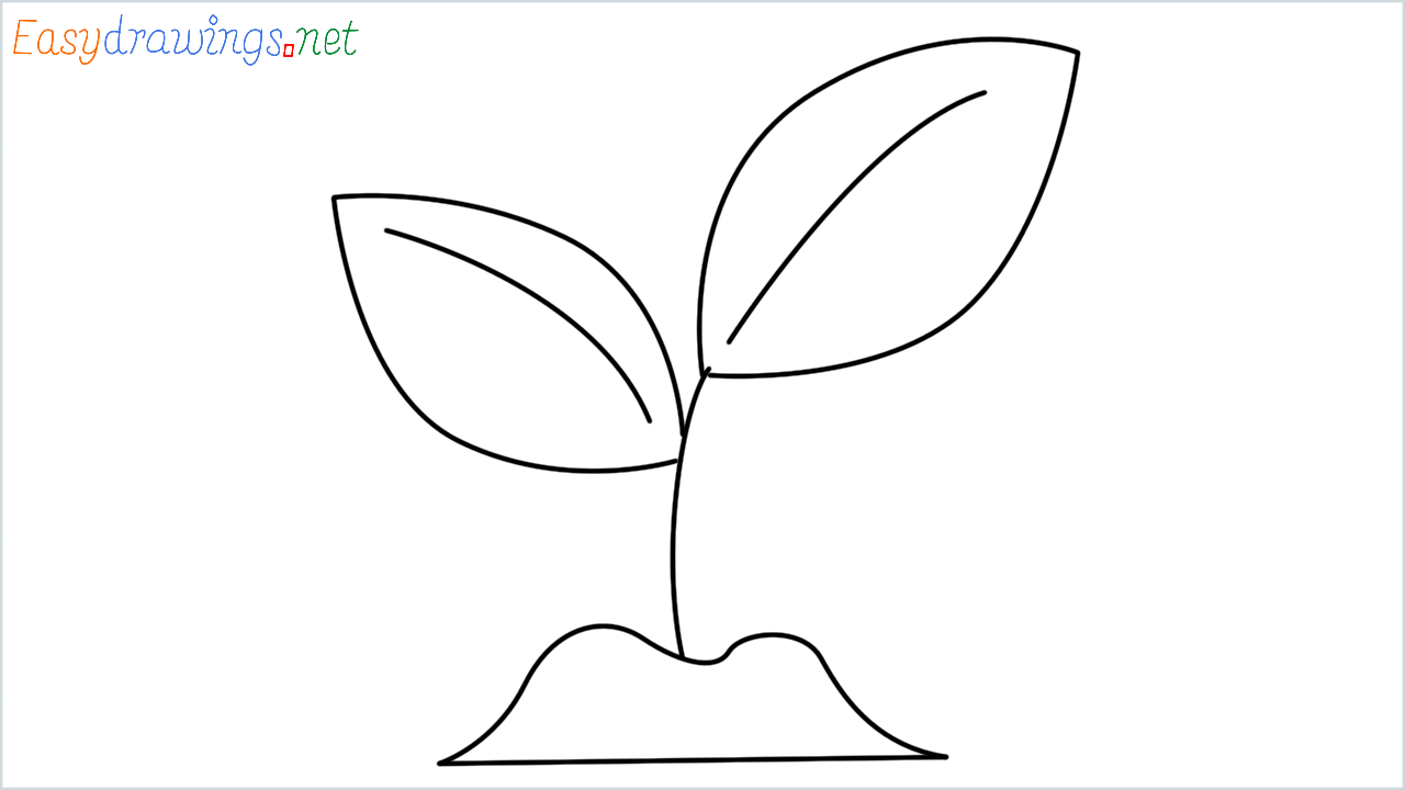 How to draw Seedling Emoji step by step for beginners