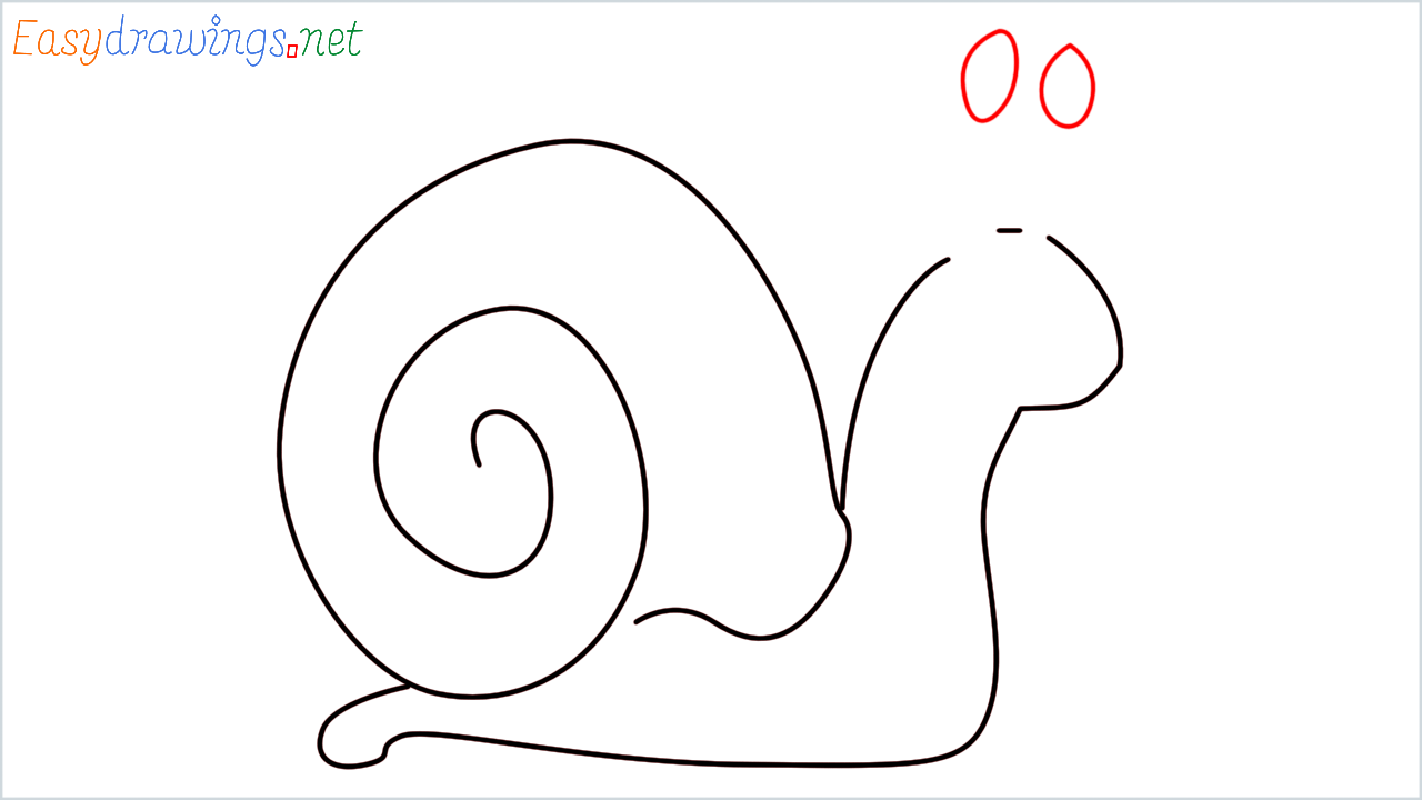 How to draw Snail Emoji step (4)