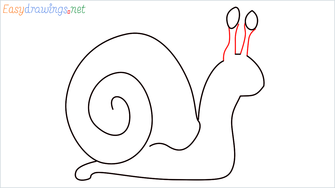 How to draw Snail Emoji step (5)