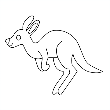 Kangaroo drawing