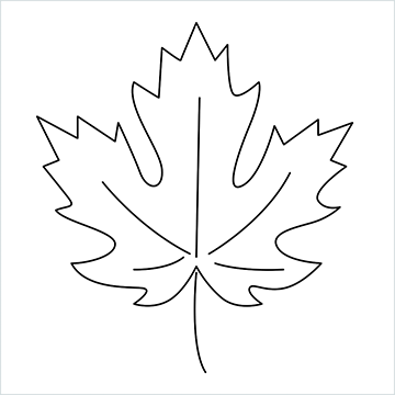 Maple leaf drawing