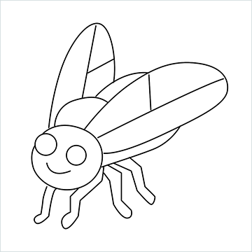 fly drawing