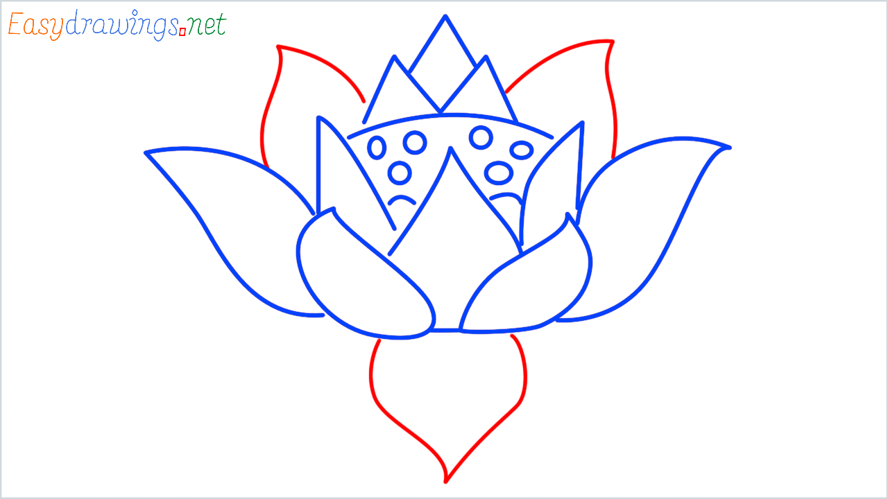 How to draw lotus step (7)
