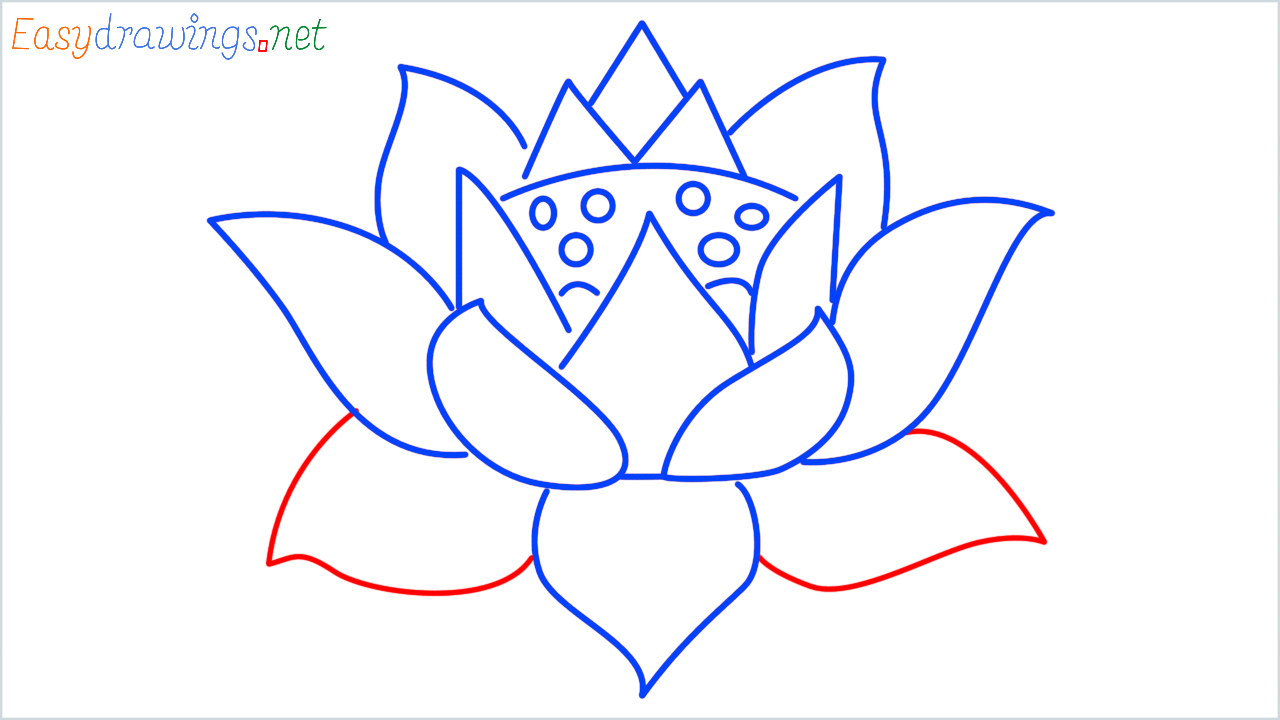 How to draw lotus step (8)