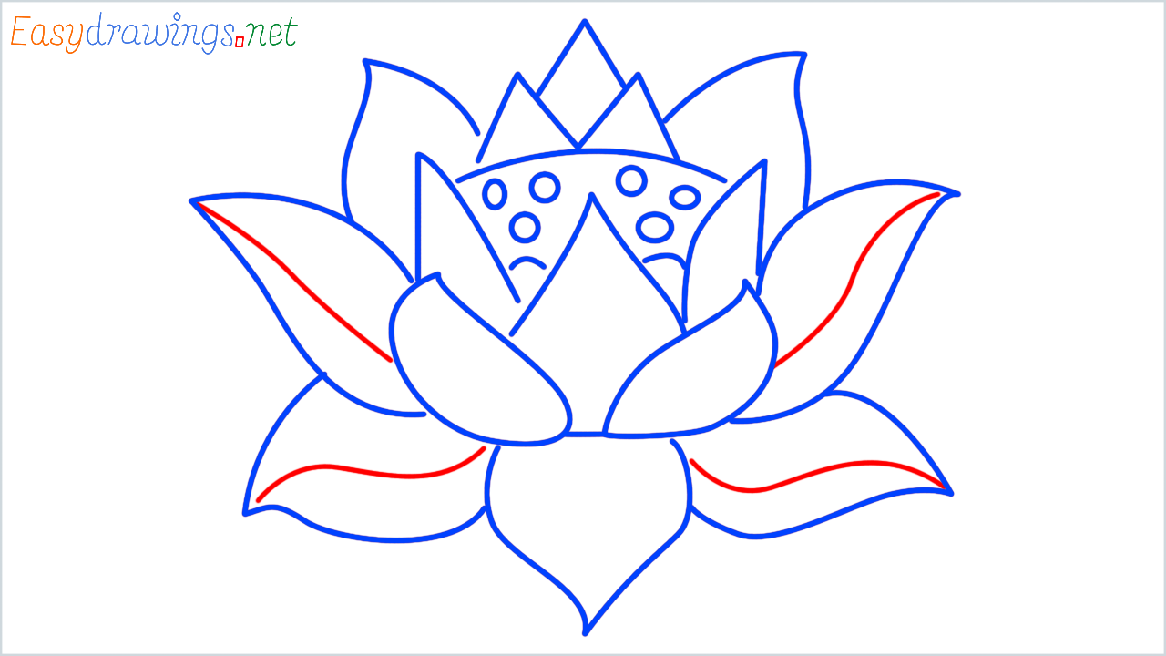 How to draw lotus step (9)