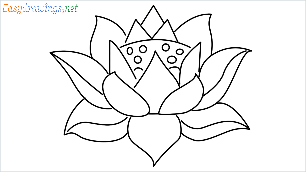How to draw lotus step by step