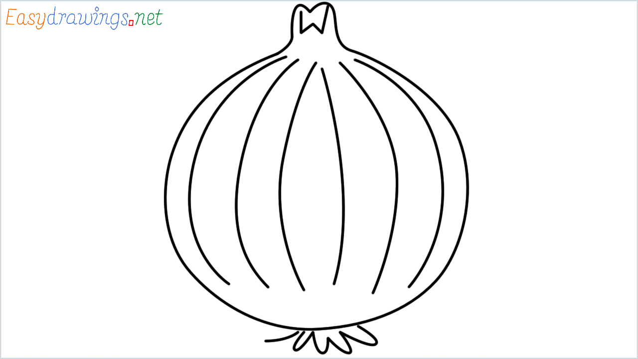 How to draw onion step by step
