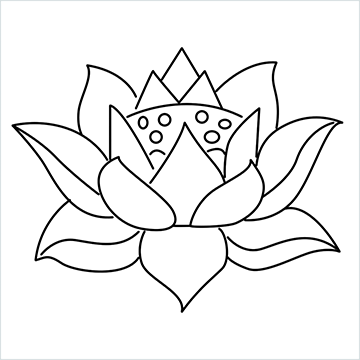 lotus drawing (12)