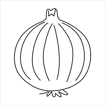 onion drawing (10)
